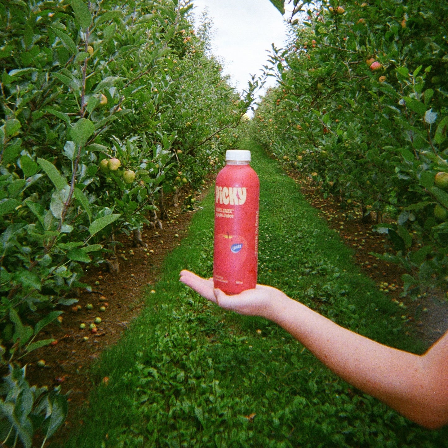 100% JAZZ Apple Juice